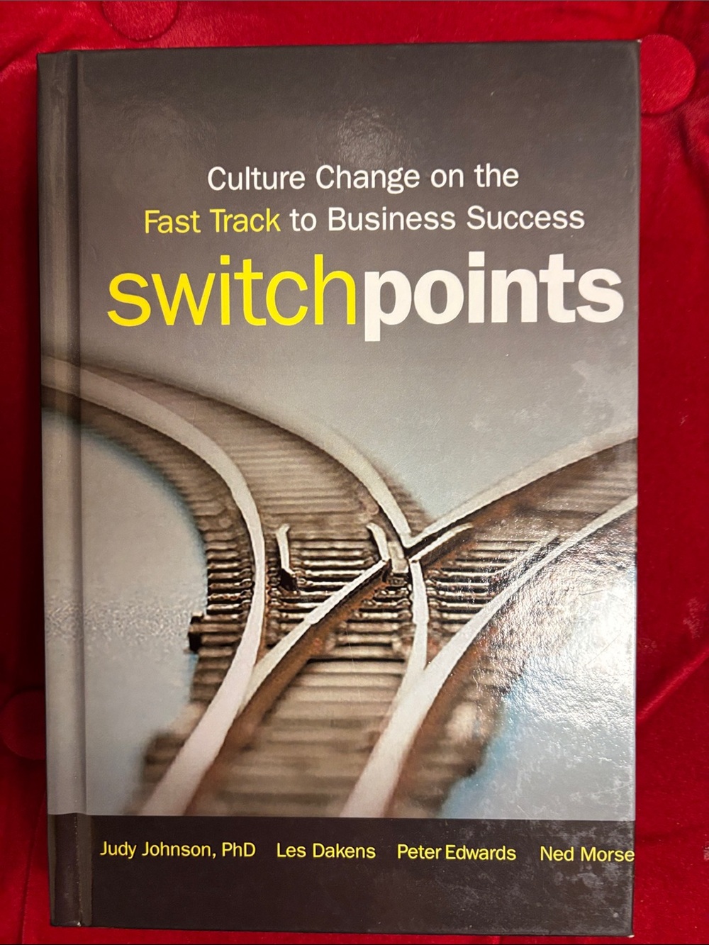 Culture Change on the Fast Track to Business Success SWITCHPOINTS New
